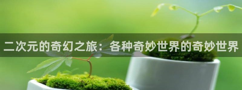 记得香蕉成熟时柏安妮：二次元的奇幻之旅：各种奇妙世界的奇妙世界配图