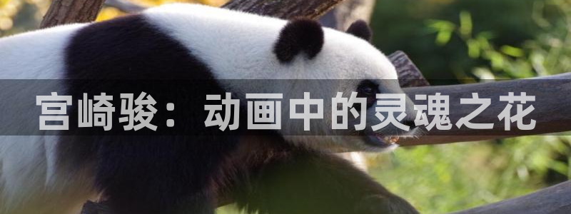 香蕉成熟时2迅雷：宫崎骏：动画中的灵魂之花配图