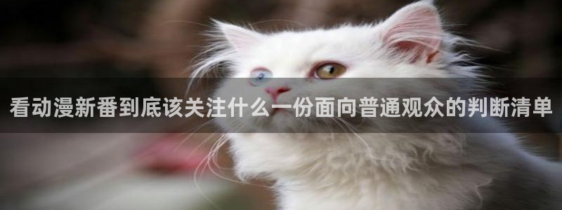 香蕉樱桃成熟时:看动漫新番到底该关注什么一份面向普通观众的判断清单配图