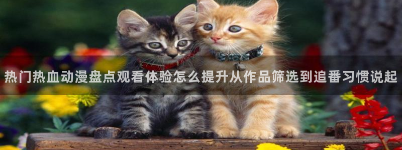 香蕉成熟时豆瓣:热门热血动漫盘点观看体验怎么提升从作品筛选到追番习惯说起配图