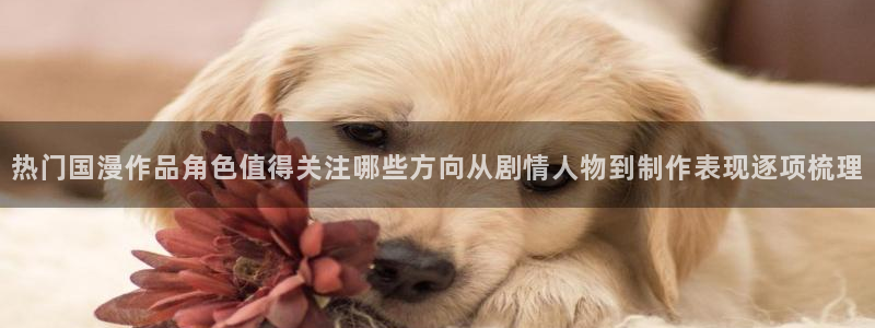 等香蕉成熟时：热门国漫作品角色值得关注哪些方向从剧情人物到制作表现逐项梳理配图