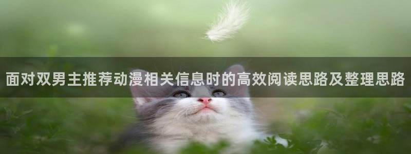 香蕉成熟时电影1:面对双男主推荐动漫相关信息时的高效阅读思路及整理思路配图