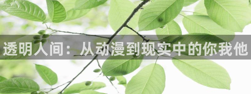 香蕉成熟时童话村:透明人间:从动漫到现实中的你我他配图